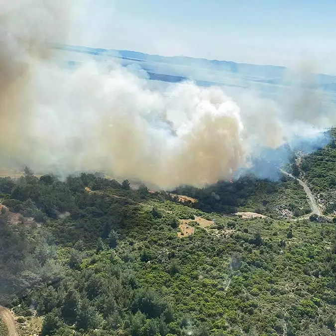 İzmir'de ormanda yangın çıktı