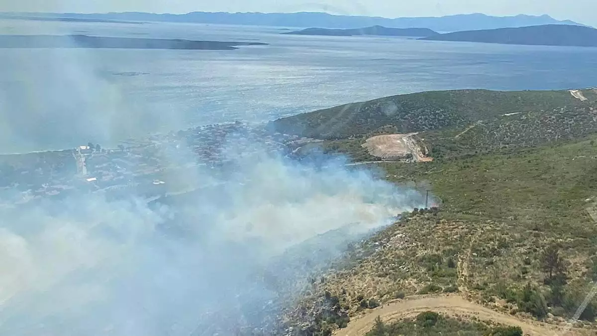 İzmir'de ormanda yangın çıktı