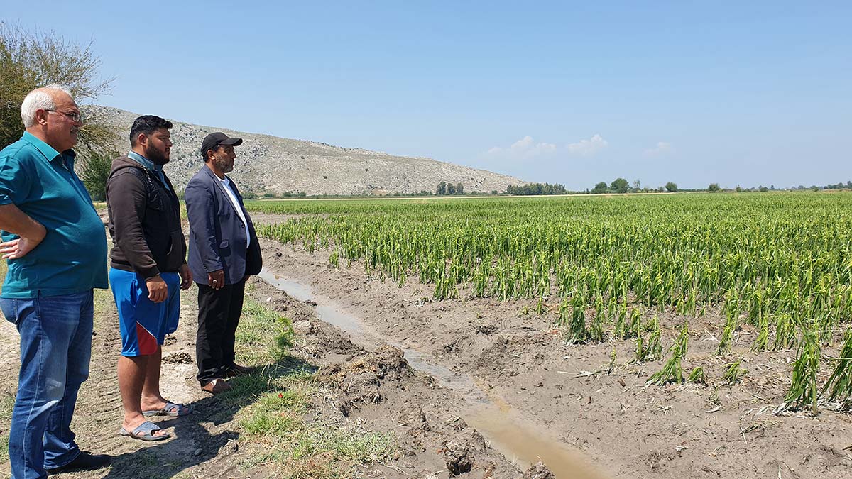 Osmaniye’nin Kadirli ilçesinde dün ceviz büyüklüğünde yağan dolu nedeniyle binlerce dönüm tarım arazisi zarar gördü. Arazide otlayan 25 koyun da öldü. Tarım arazilerinde zarar tespit çalışması başlatıldı.