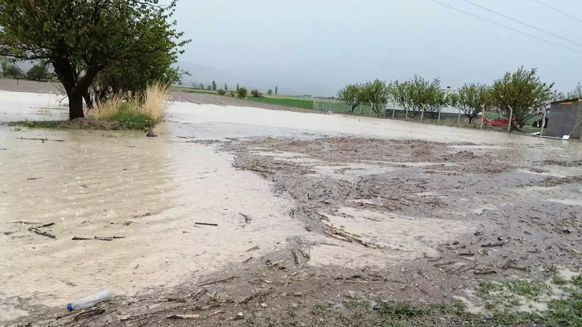 Kayseri'de dolu tarım alanlarına zarar verdi