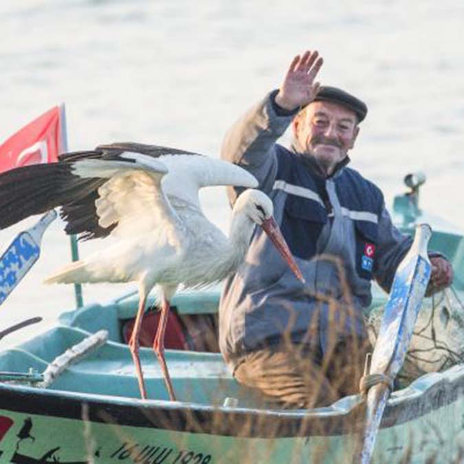 Yaren leylek yavruları için kuluçkaya yattı