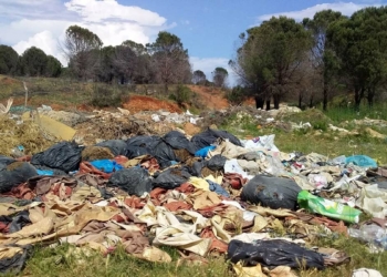 Manavgat yangınında zarar gören evlerin hafriyatı ormana döküldü