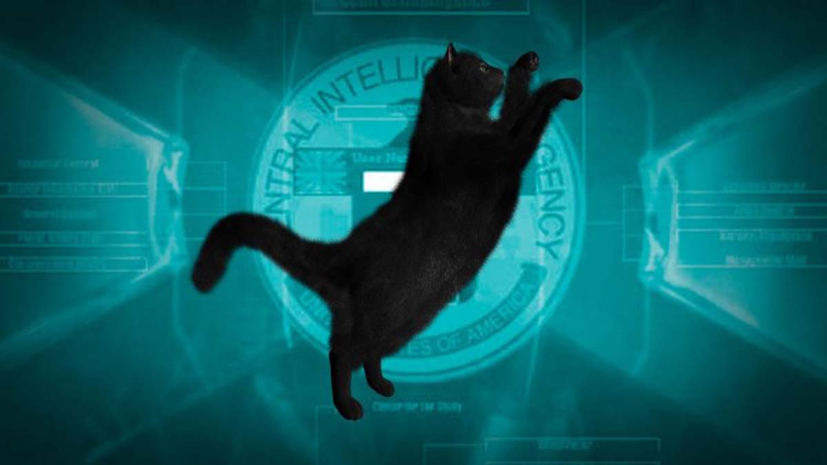 CIA’nın sıra dışı istihbarat operasyonu: "Akustik Kedicik"