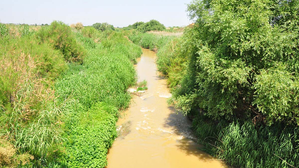 Nif Çayı'na kamyondan atık döküldü