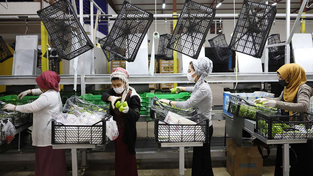 Rusya pazarı kapılarını açtı