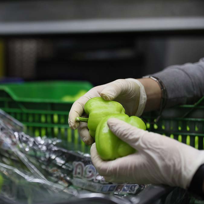 Rusya pazarı kapılarını açtı