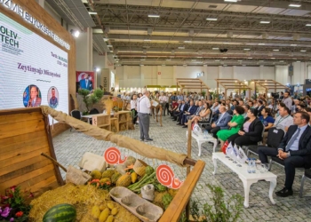 Soyer: Zeytin ağaçlarına sahip çıkacağız