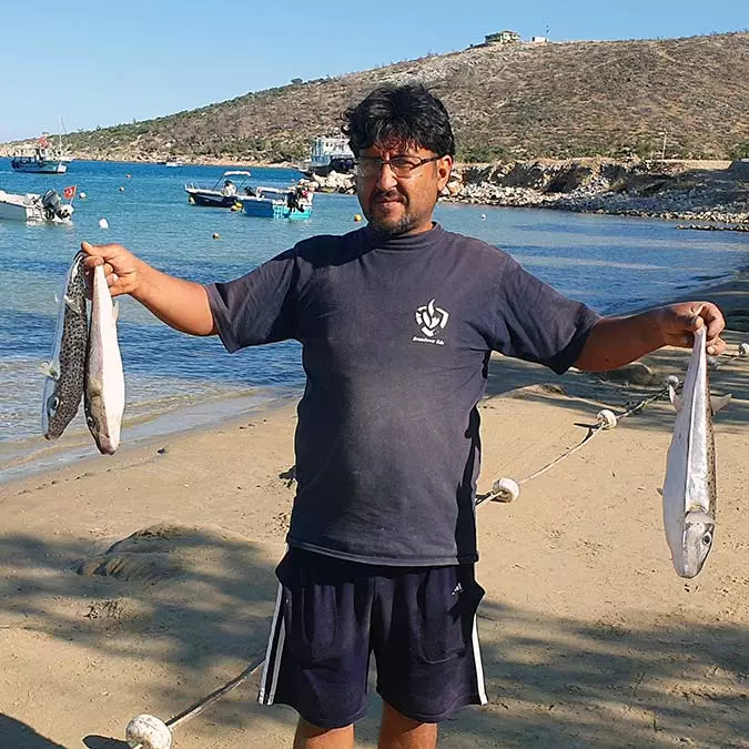 Mersin’in silifke ilçesinde farklı zamanlarda sahile vuran ölü balon balıklarını yiyen 11 kedi zehirlendi. Kedilerden bazıları öldü, bazıları ise veteriner hekimlerin yaptığı müdahaleyle hayatta kaldı.