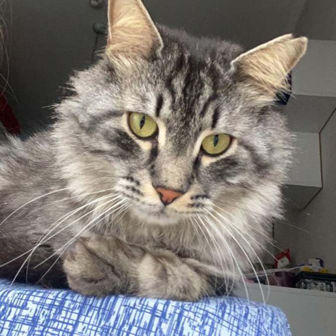 Mars'ı bulana 10 bin TL para ödülü