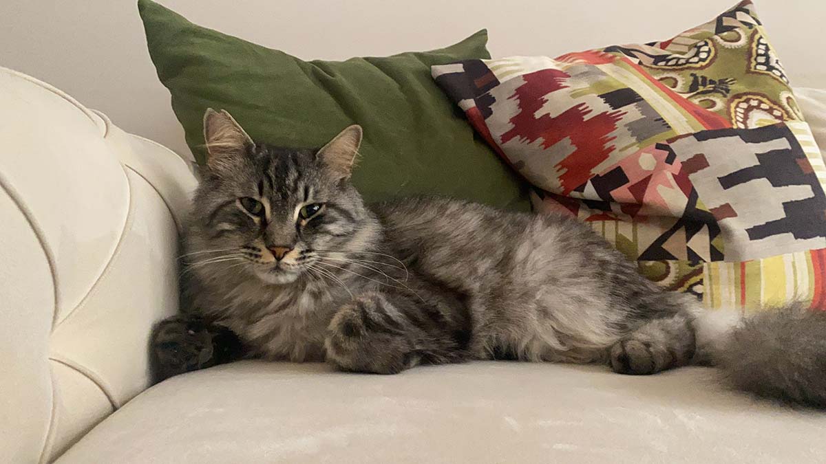 Mars'ı bulana 10 bin TL para ödülü