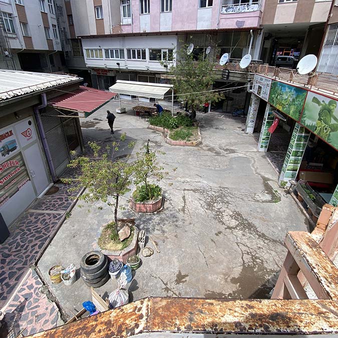 Hurda dükkanında çıkan fareler tedirgin etti