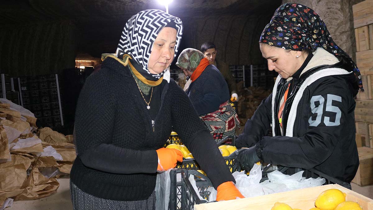 Nevşehir'e farklı illerden gelen mevsimlik limon işçisi kadınlar anneler günü'ne çalışarak girdi. İşçi kadınlar, tüf kayalara oyulu soğuk hava depolarında çalışıp bu özel günü kutladı.