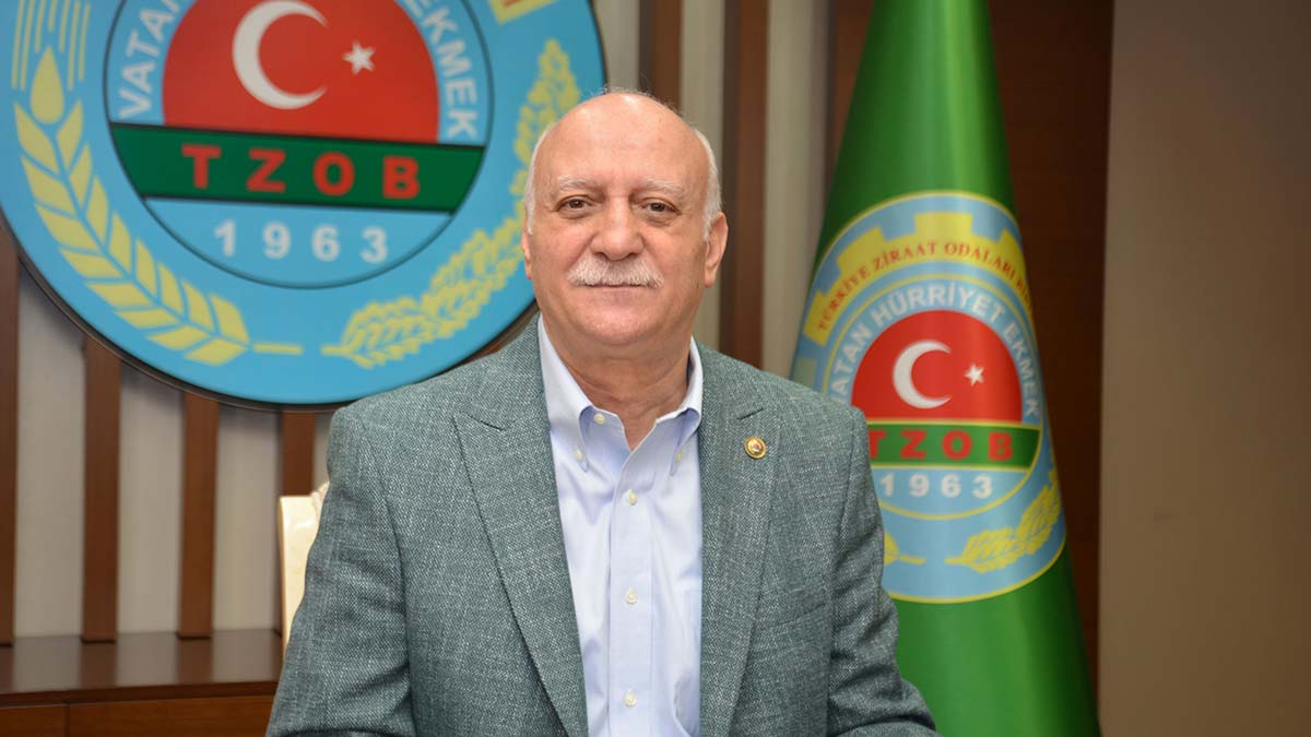 Elma ve salatalıktaki fiyat farkı % 400'ün üzerinde