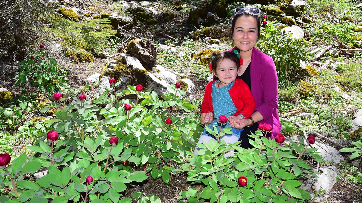 Koruma altındaki şakayıkları koparana 109 bin 593 lira ceza