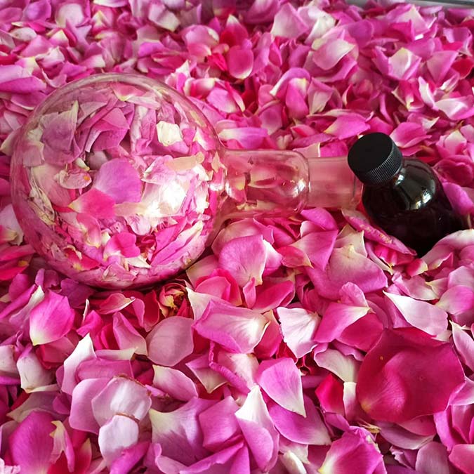 Iğdır Üniversitesi’nin Ağrı Dağı eteklerinde kurulan 1100 rakımlı kampüsünde yetişen bitkiler kozmetik, sağlık ve temizlik ürünlerine dönüştürülüyor.