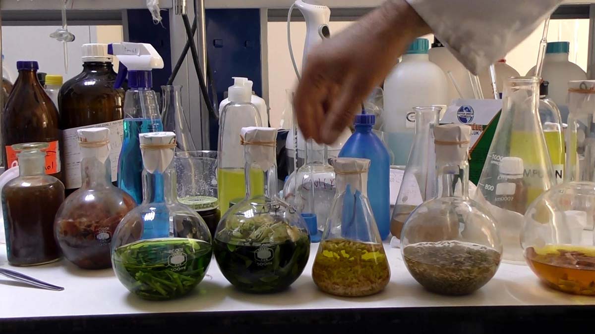 Bitkiler kozmetik ürünlere dönüştürülüyor