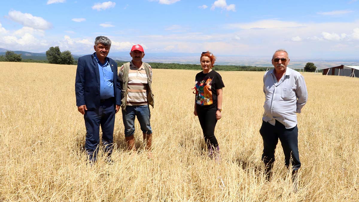 Eskişehir'de son dönemlerde etkili olan sağanak, nisan ayından bu yana kuraklık endişesi taşıyan çiftçilerin yüzünü güldürürken, Danişment Mahallesi'nde gece 15 dakikalık dolu 500 dönüm arazideki ekili arpayı yok etti.