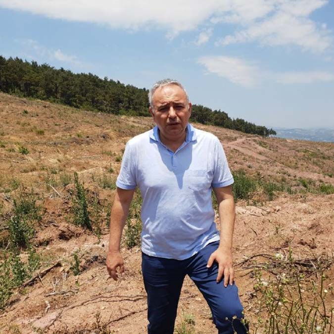 Ormanları sadece yangınlar yok etmiyor