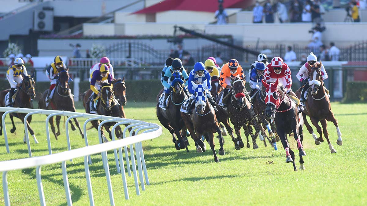 96'ncı Gazi Koşusu yarışmacıları iddialı