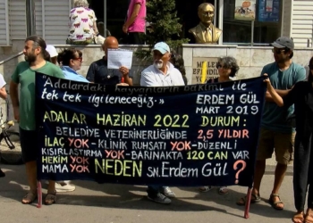 Adalar Belediyesi önünde hayvanseverlerden eylem
