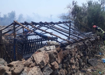 Ahırda yangın çıktı; 20 küçükbaş öldü