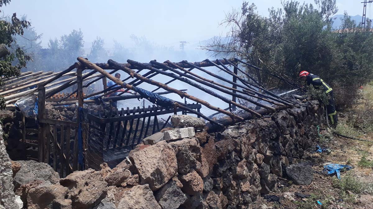 Ahırda yangın çıktı; 20 küçükbaş öldü