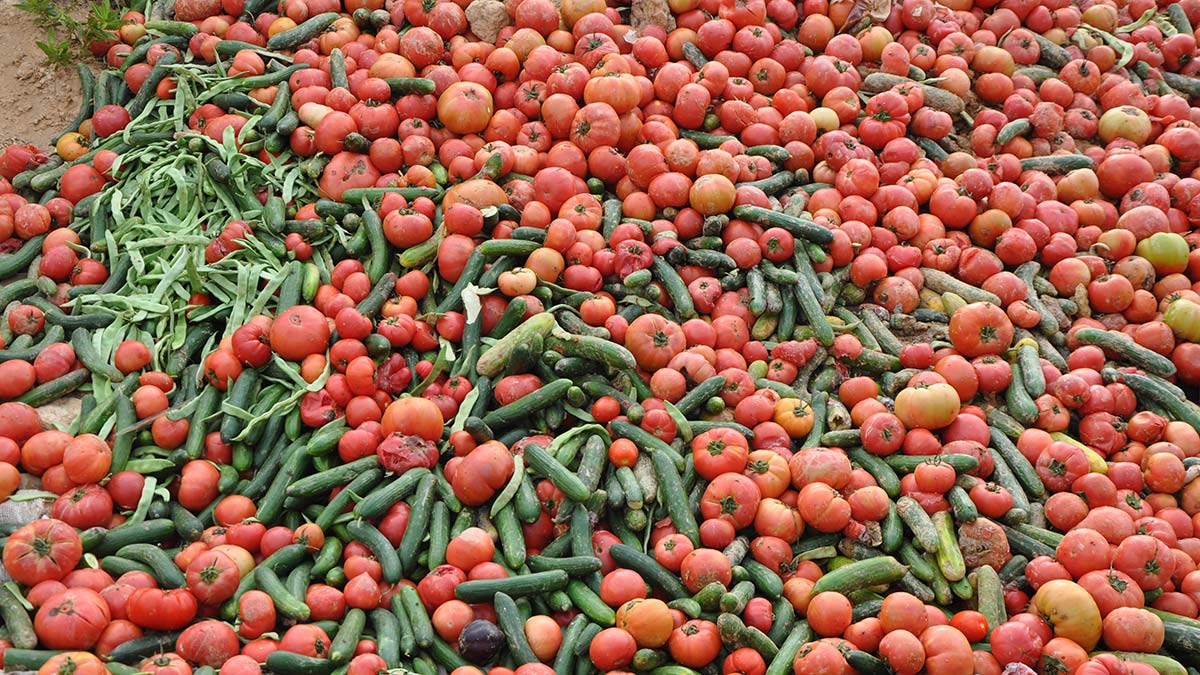 Antalyada cope dokulen sebzelerle ilgili aciklama 1 - yerel haberler - haberton
