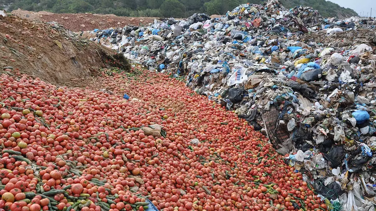 Antalya'da çöpe dökülen sebzelerle ilgili açıklama