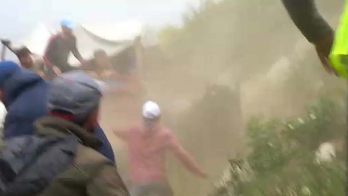 Arenadaki boğalar seyircilerin arasına daldı