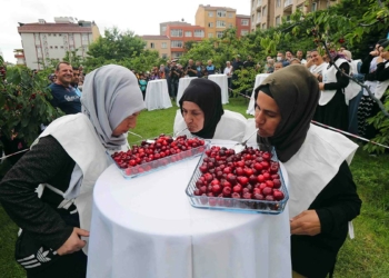 Bağcılar’da Kiraz Festivali coşkusu