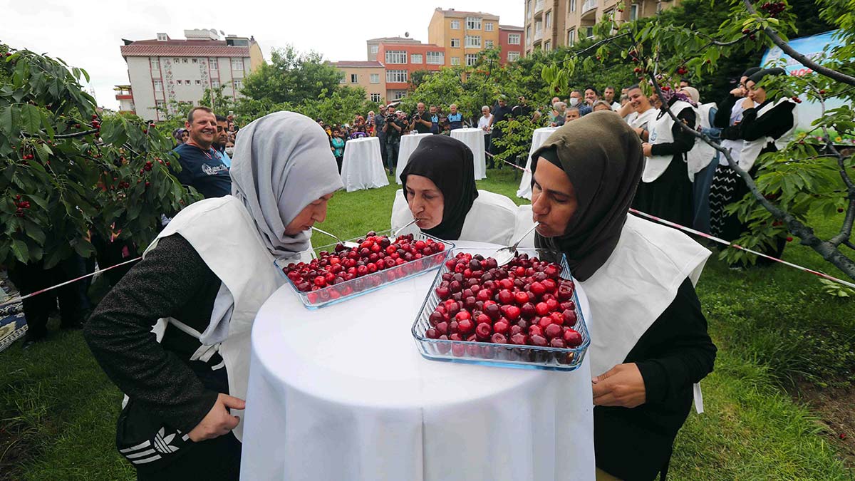 Bağcılar’da Kiraz Festivali coşkusu