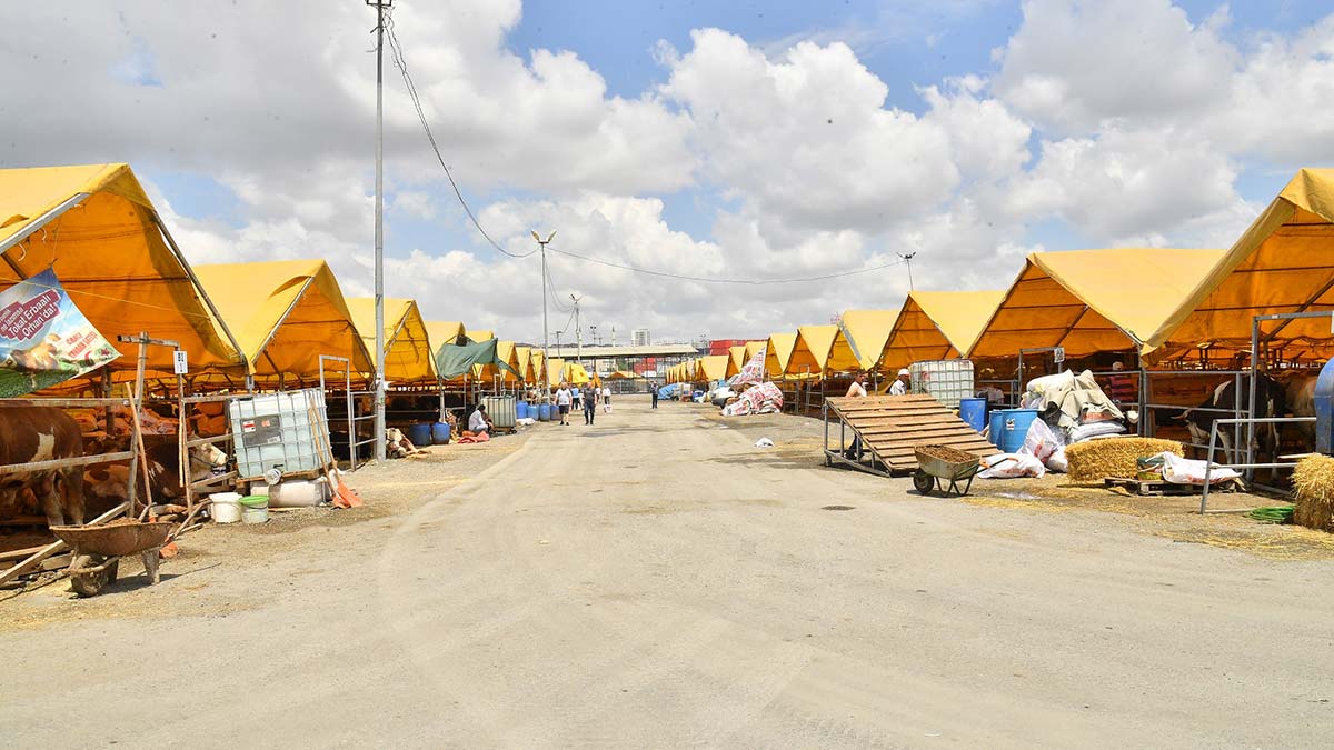 Beylikdüzü'nde kurban satış ve kesim alanı