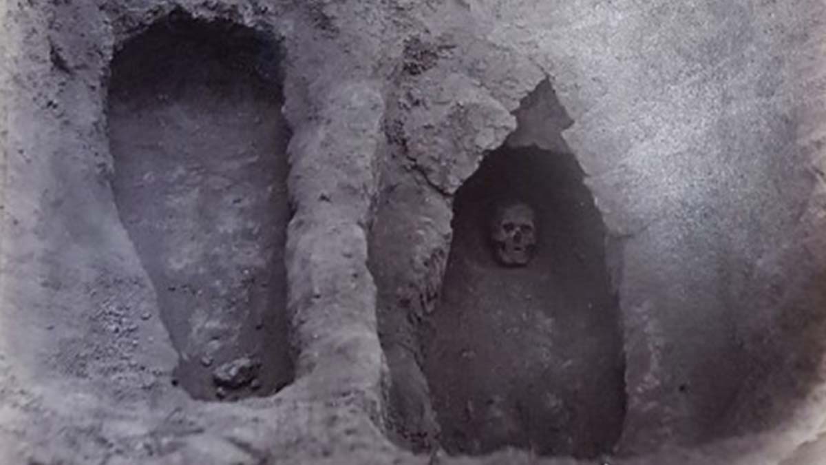 Bilim insanları vebanın kökenini keşfetti