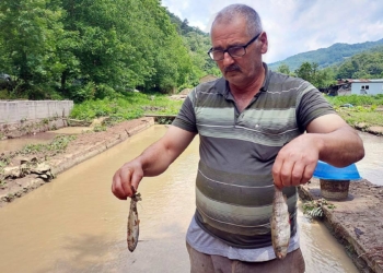 Bolu'daki sel alabalık çiftliğini vurdu