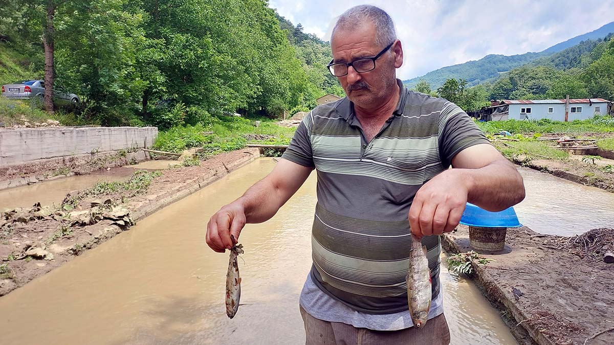 Bolu'daki sel alabalık çiftliğini vurdu
