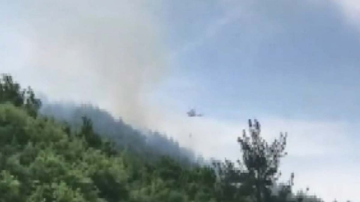 Bursa'da orman yangını çıktı