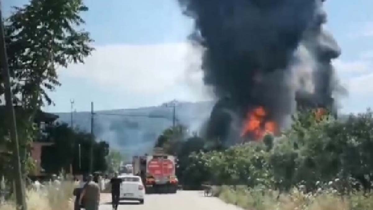 Bursa'da palet fabrikasında yangın
