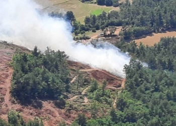 Çanakkale'de orman yangını çıktı