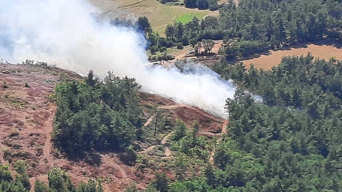 Çanakkale'de orman yangını çıktı