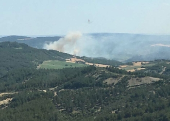 Çanakkale'de tarım arazisinde yangın