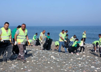 Caretta carettaların üreme alanlarında temizlik