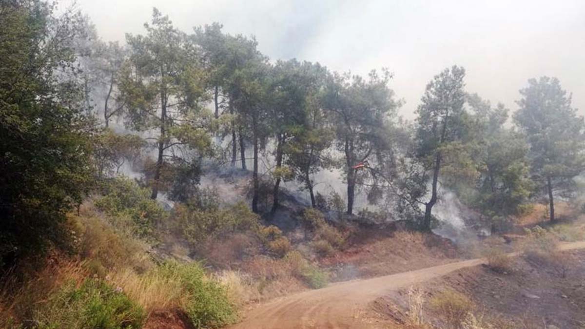 Dalaman'da orman yangını çıktı