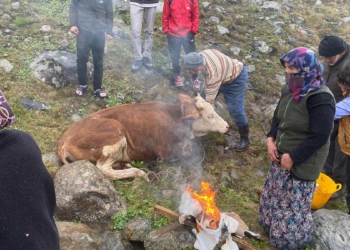 Dereye düşen inek kurtarıldı