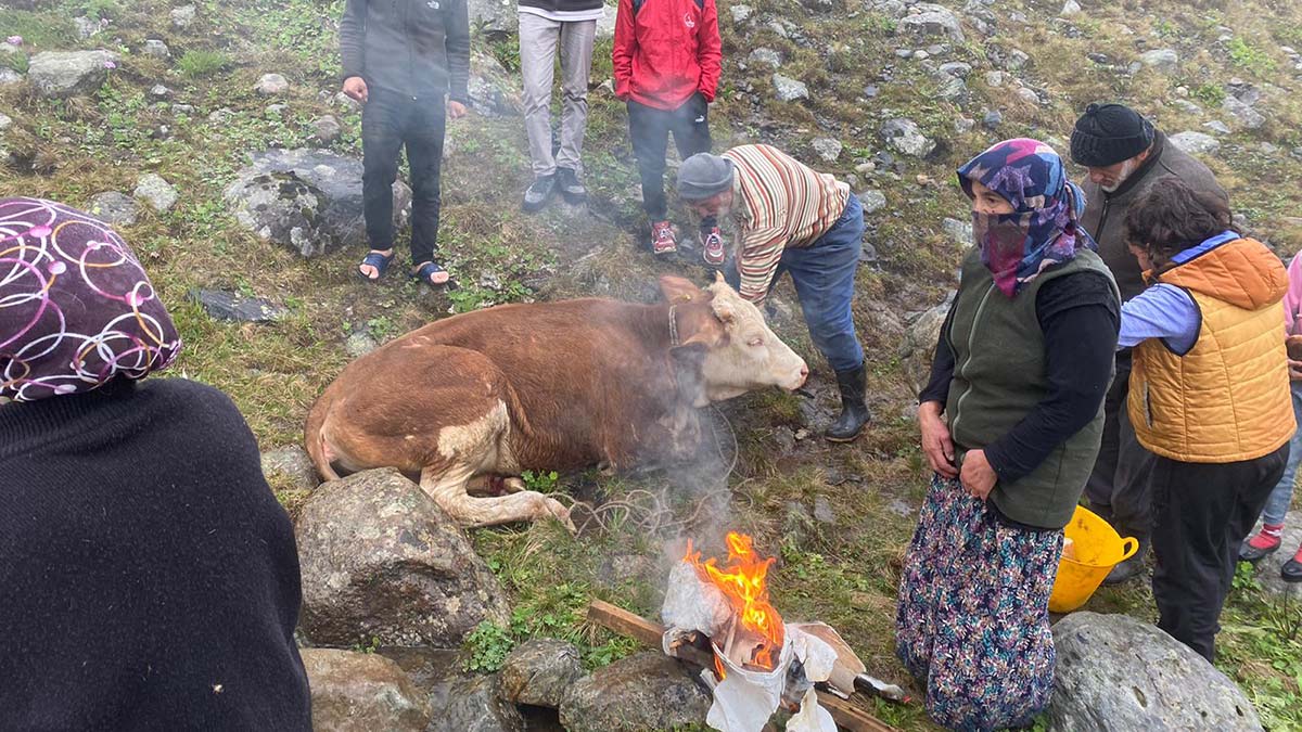 Dereye düşen inek kurtarıldı