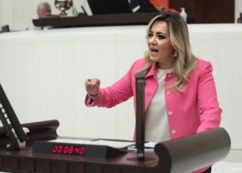 Aylin Cesur'dan sağlık yasası açıklaması