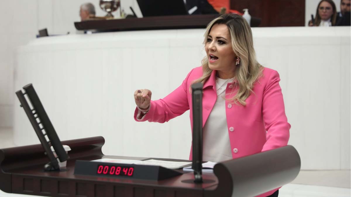 Aylin Cesur'dan sağlık yasası açıklaması