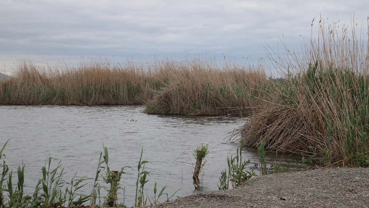 Eber Gölü'nün su seviyesi arttı