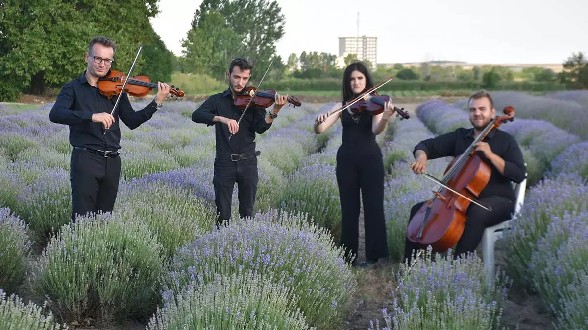 Edirnede lavanta tarla gunleri basladi 3 - yerel haberler - haberton