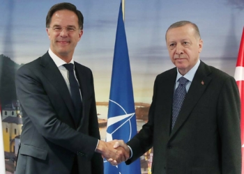 Erdoğan, Hollanda Başbakanı Rutte ile görüştü