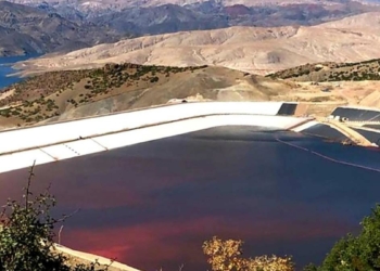 Erzincan'da, Karasu Nehri'nde siyanür paniği